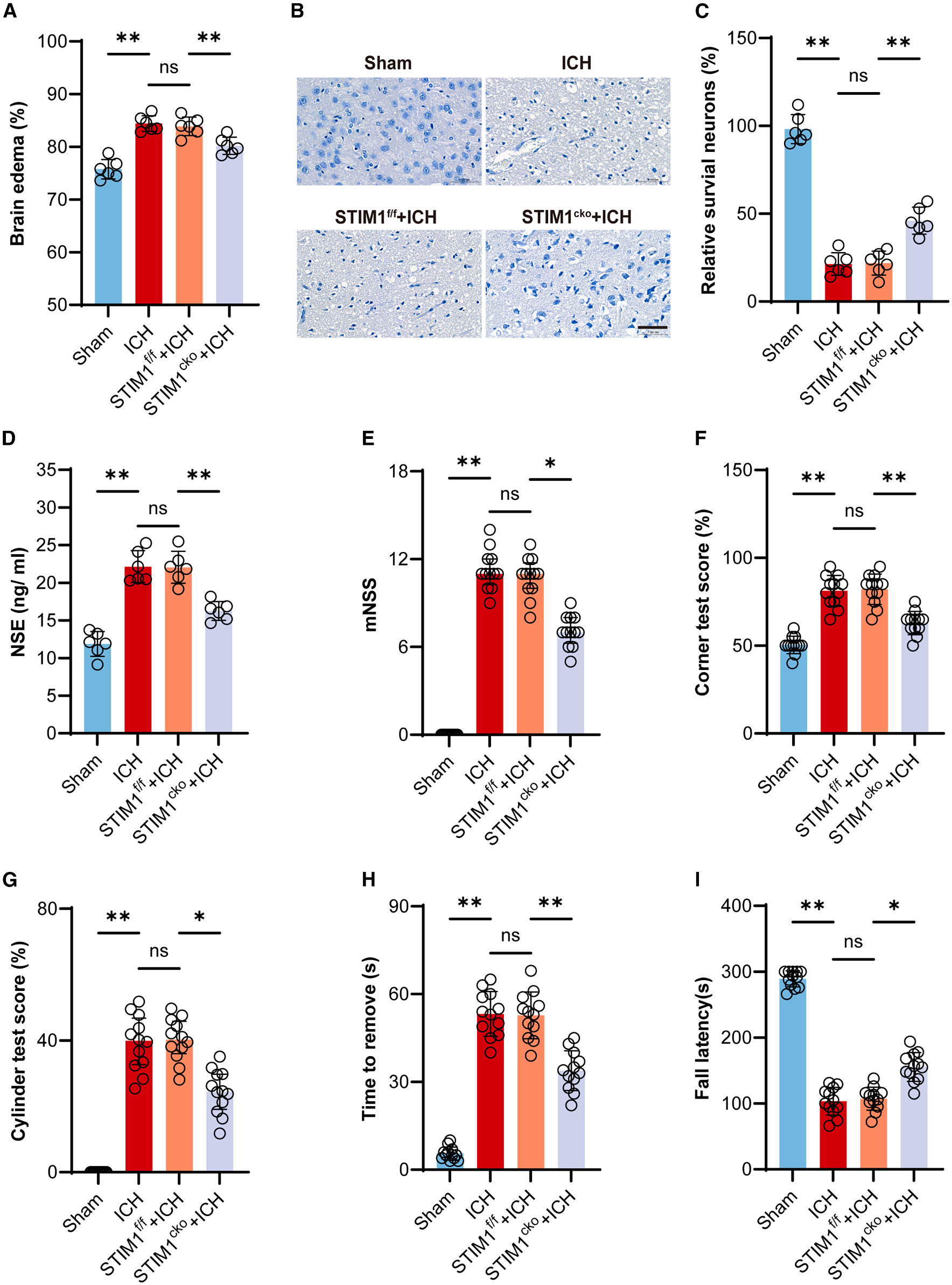 STIM1 regulates iron homeostasis and promotes neuronal ferroptosis to aggravate cerebral hemorrhage